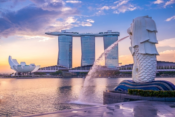 SINGAPORE - INDONESIA - MALAYSIA ( 6N5Đ )
