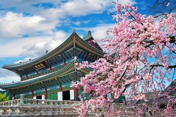 Hàn Quốc: Seoul - Everland - Đảo Nami (5N4Đ)
